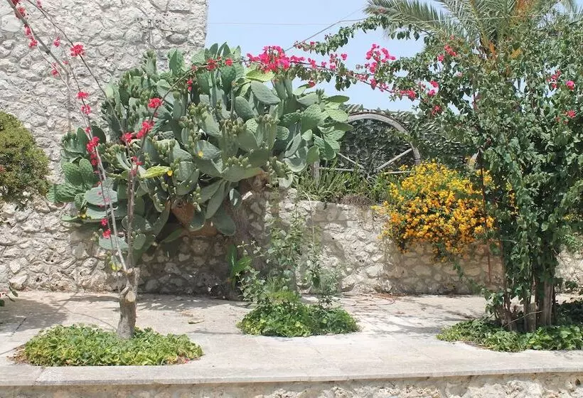 Residence Conchiglia San Giovanni