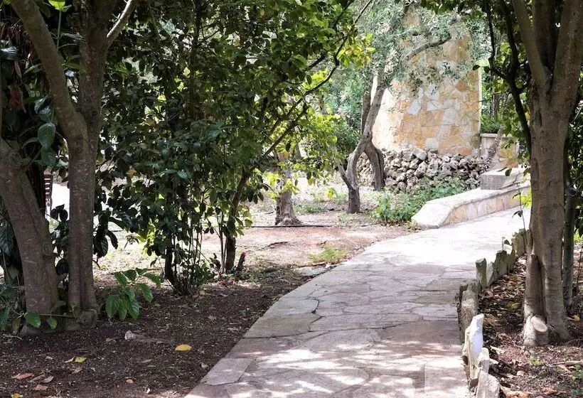 Residence Conchiglia San Giovanni