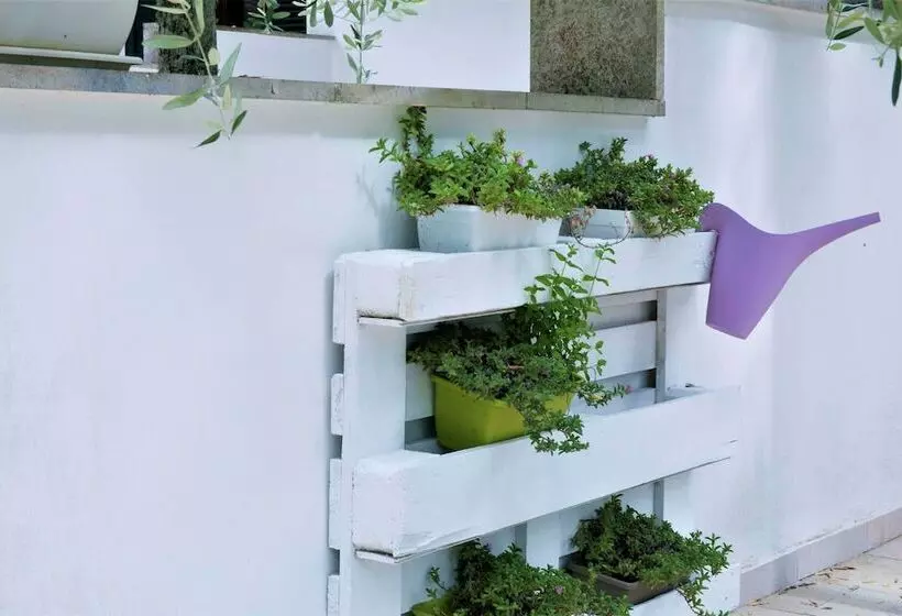 Residence Conchiglia San Giovanni