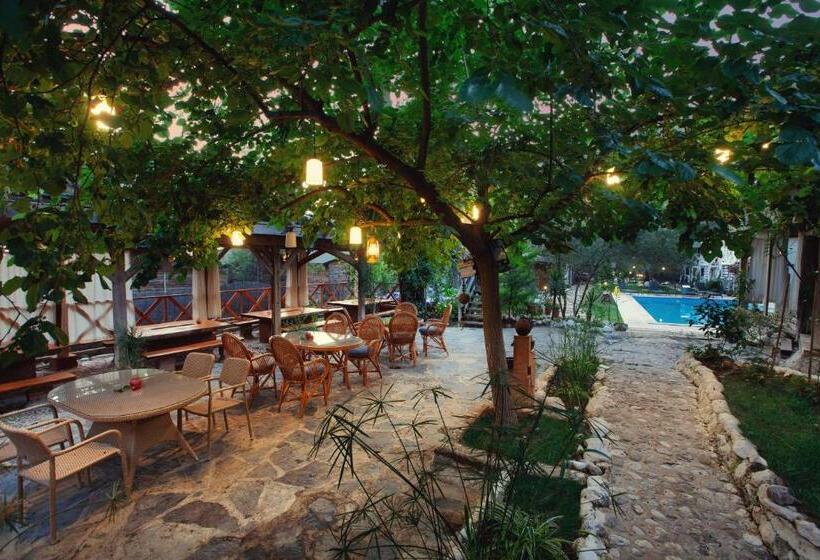 הוסטל Chakra Beach Kabak