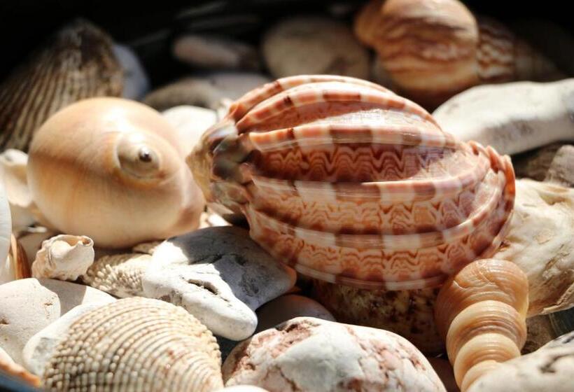 הוסטל Chakra Beach Kabak