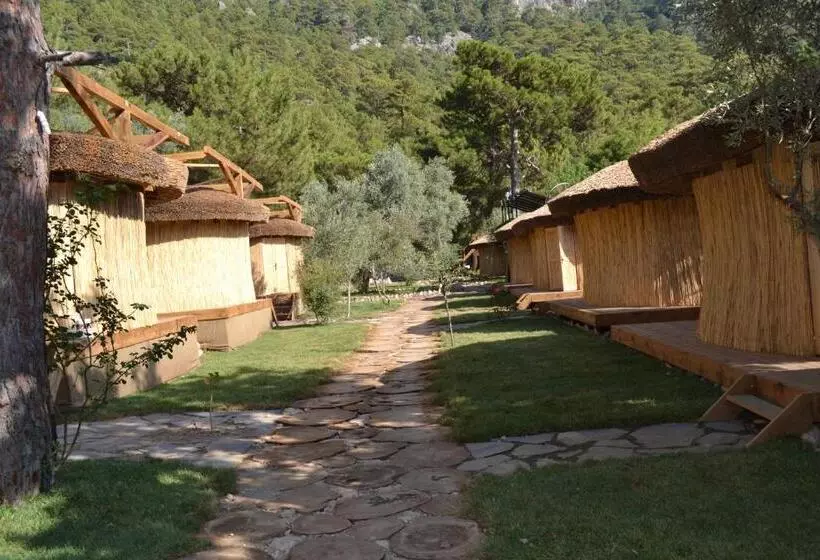 Retkeilymaja Chakra Beach Kabak