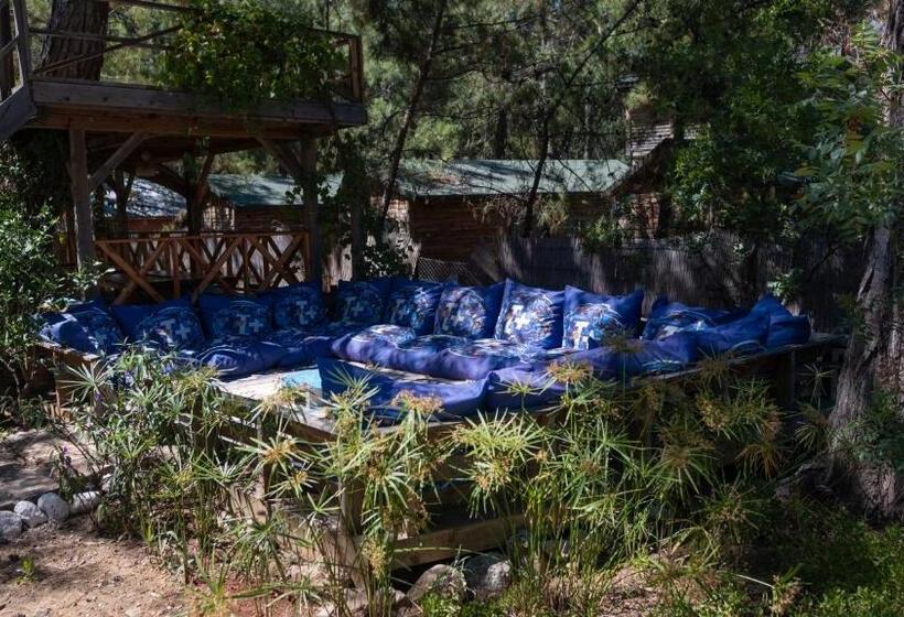 הוסטל Chakra Beach Kabak