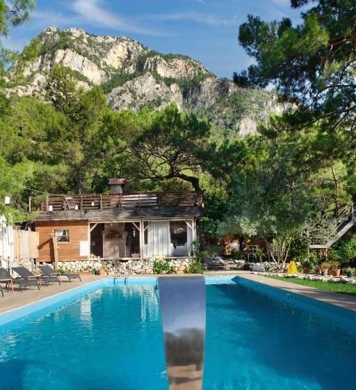 הוסטל Chakra Beach Kabak