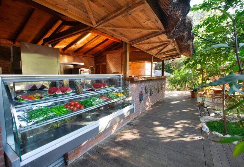 הוסטל Chakra Beach Kabak