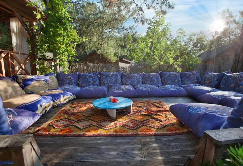 הוסטל Chakra Beach Kabak