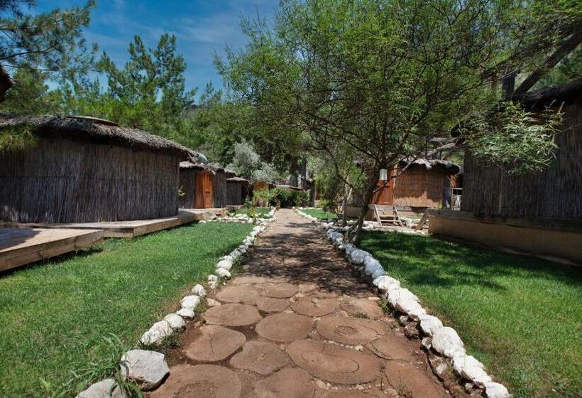 הוסטל Chakra Beach Kabak