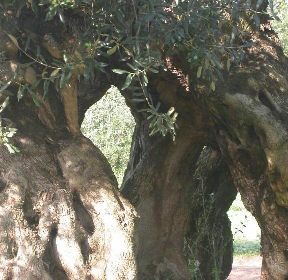 فندق Agriturismo Francesca Stajano