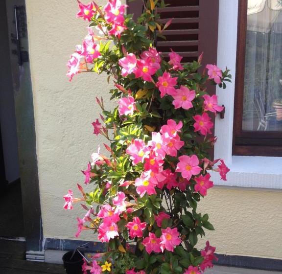 Pensão Gasthaus Zur Krone