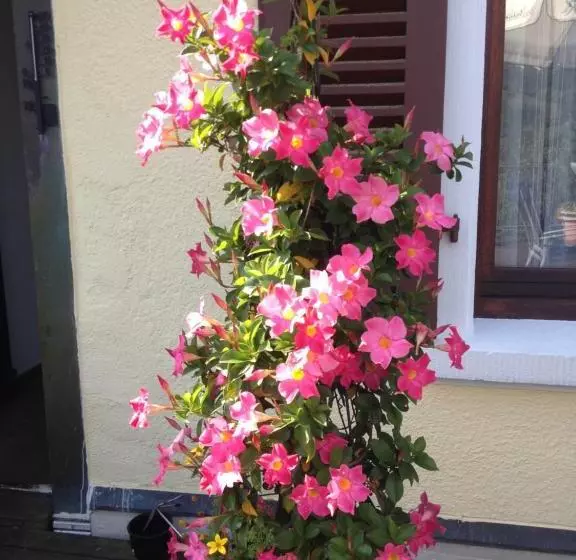 ペンション Gasthaus Zur Krone