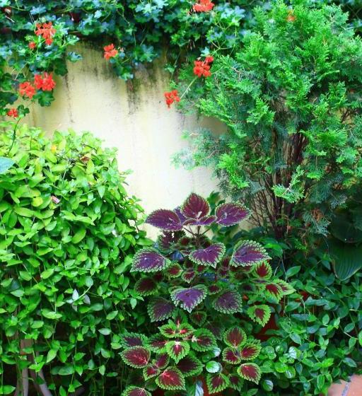 ペンション Hostal Escartín