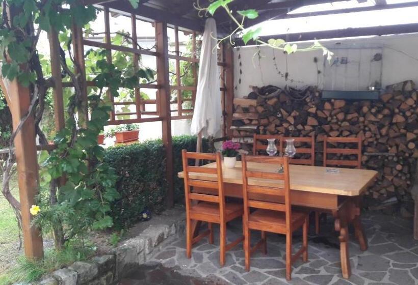 بنسيون Penzion Dora