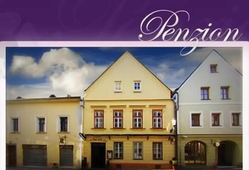 ペンション Penzion U Lucerny