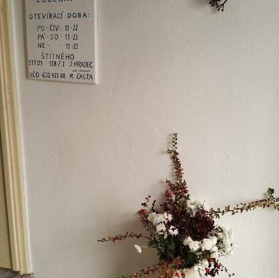 Pansiyon Penzion U Lucerny