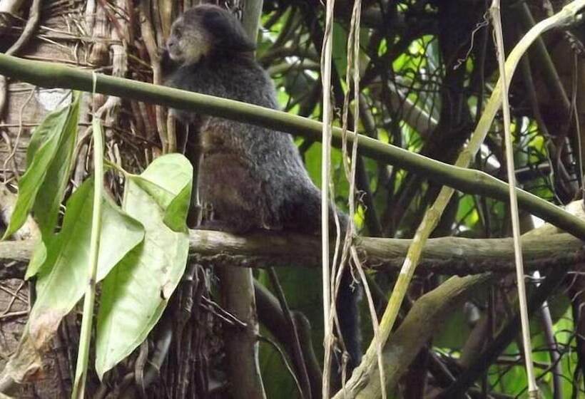 Pensão Pousada Nainas