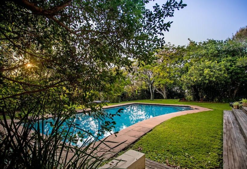 ペンション Teremok Lodge & Spa