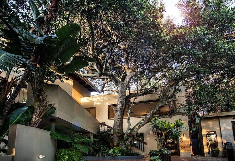 ペンション Teremok Lodge & Spa