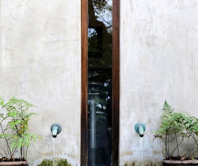 ペンション Teremok Lodge & Spa