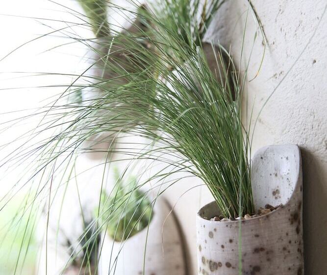 ペンション Teremok Lodge & Spa