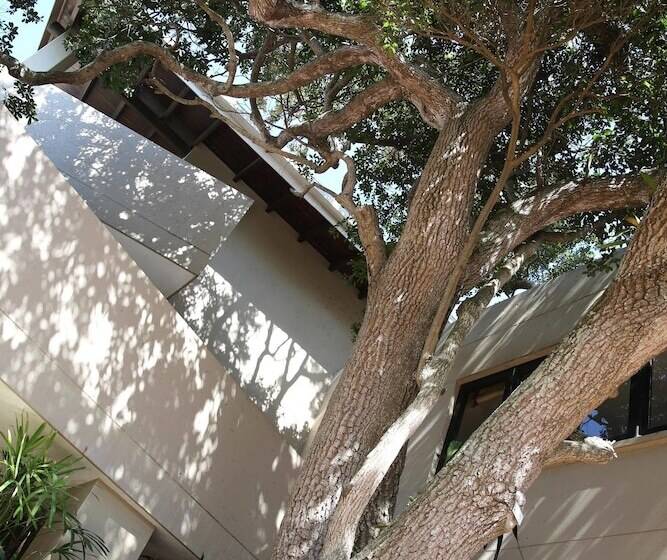 ペンション Teremok Lodge & Spa