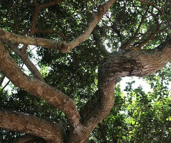 ペンション Teremok Lodge & Spa