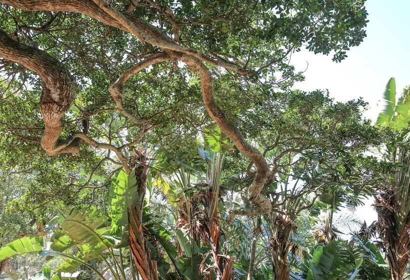 ペンション Teremok Lodge & Spa