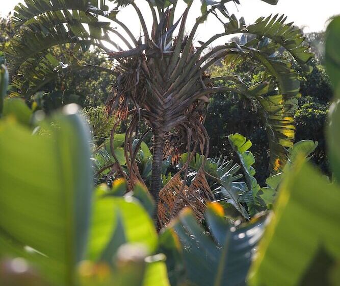 ペンション Teremok Lodge & Spa