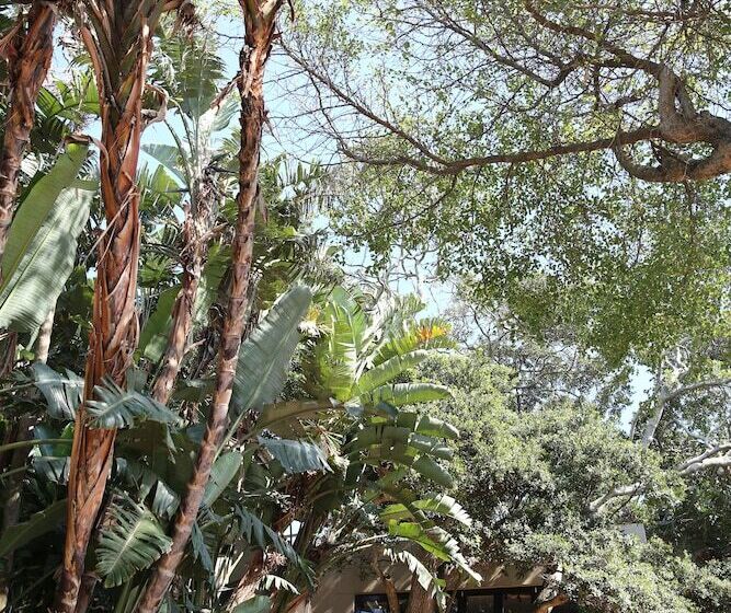 ペンション Teremok Lodge & Spa