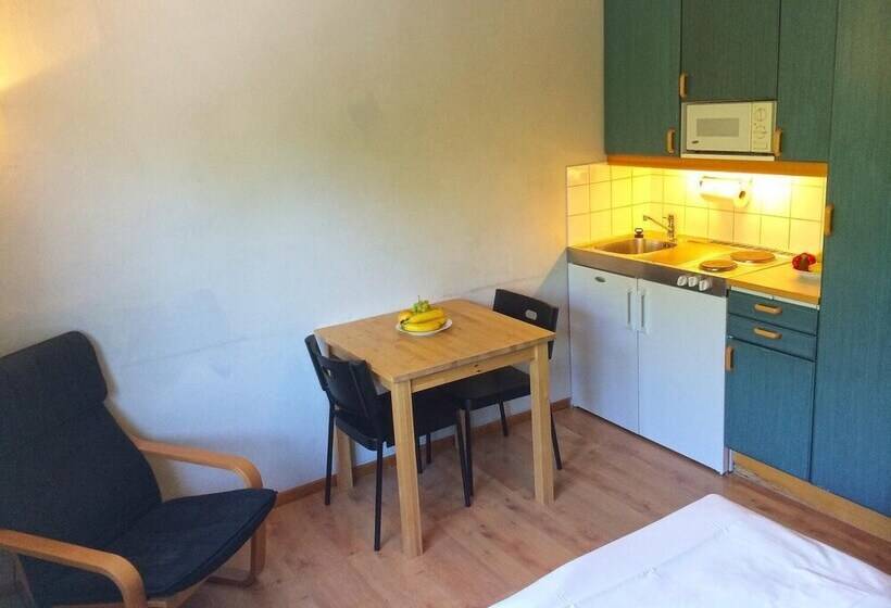 Vandrarhemmet Birkagatan 8