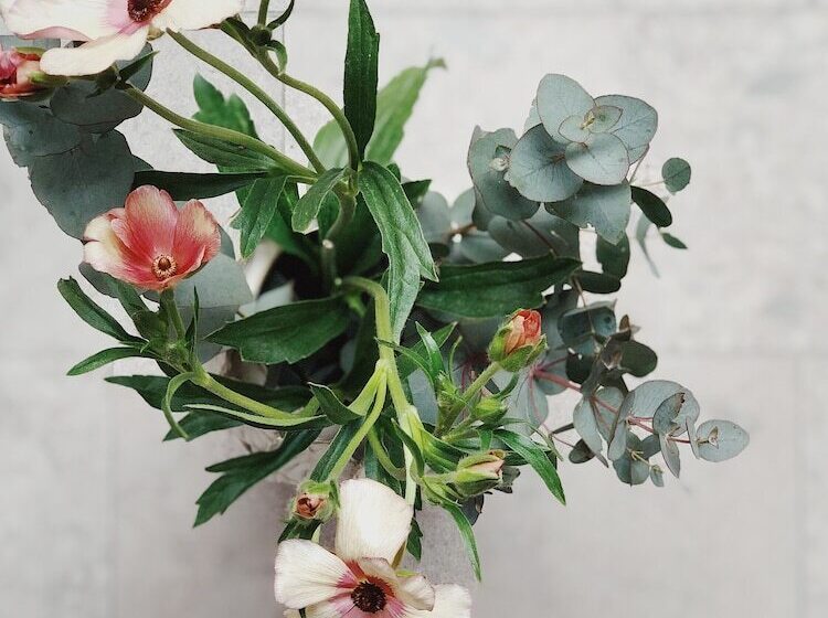 Vandrarhemmet Birkagatan 8