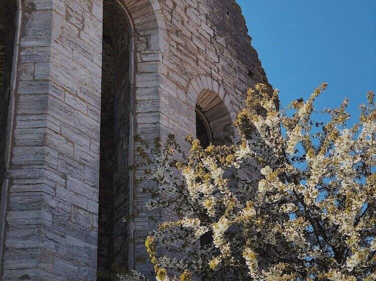 Vandrarhemmet Birkagatan 8