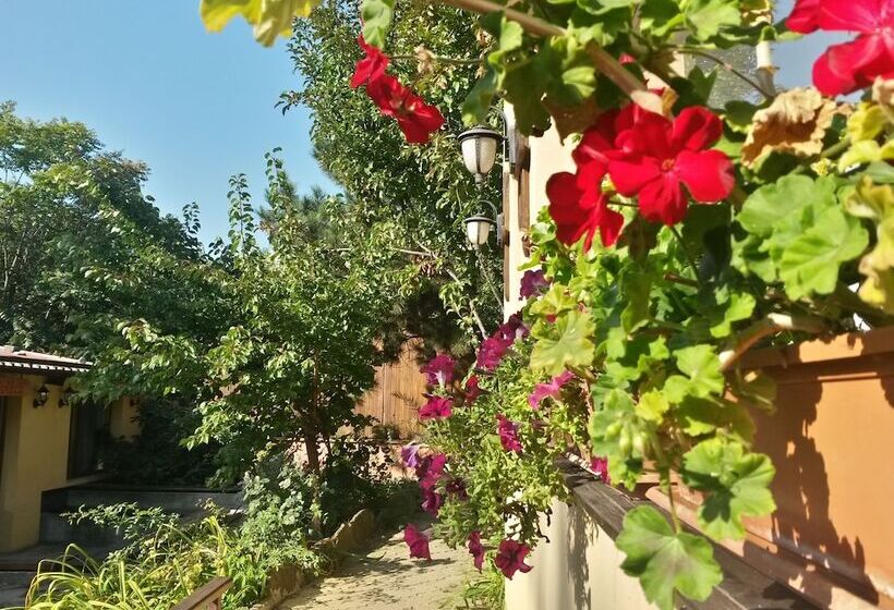 پانسیون B&b Casa Mica Guesthouse