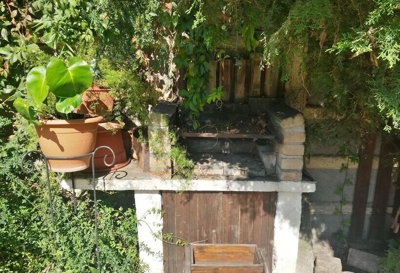 پانسیون B&b Casa Mica Guesthouse