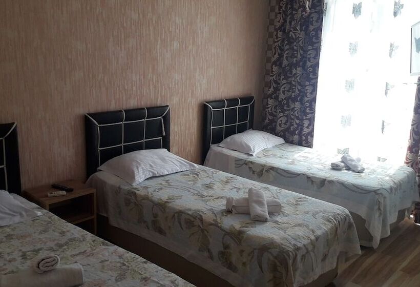 پانسیون Dzveli Batumi