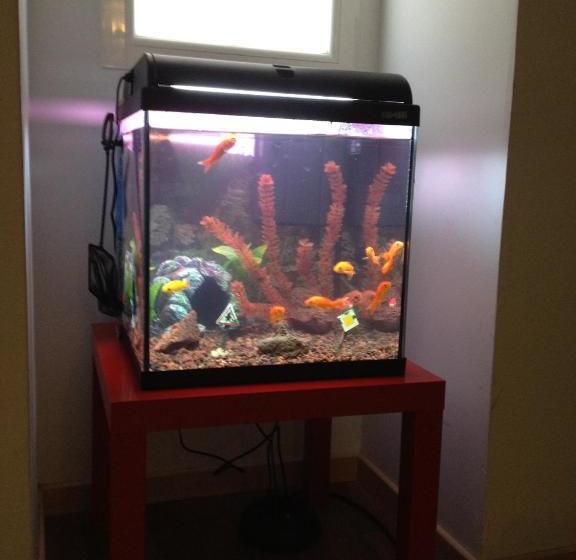 پانسیون Hostal Gaudi Cuenca