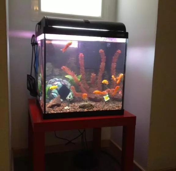 Pensión Hostal Gaudi Cuenca