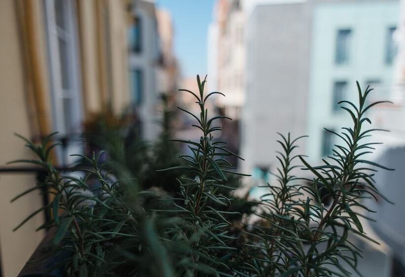 پانسیون Hostal Vidamia