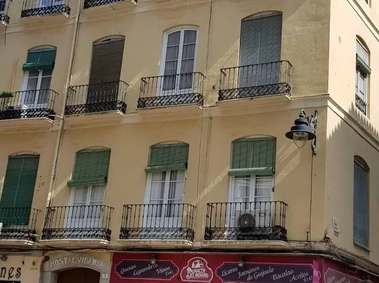 Pension Hostal Vidamia