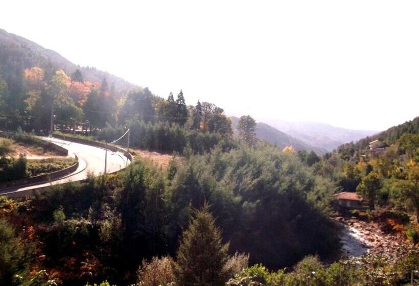 بنسيون O Pimpao