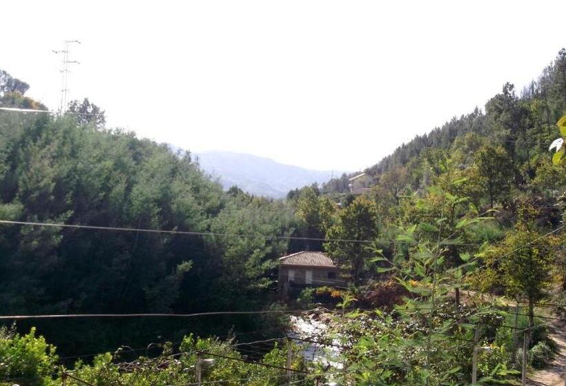 بنسيون O Pimpao