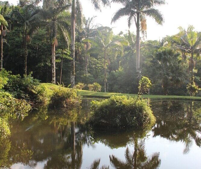 펜션 Pousada Sitio Araribá