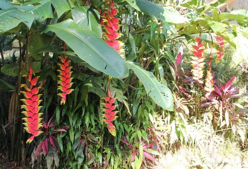 펜션 Pousada Sitio Araribá