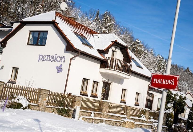 Pension Fialka