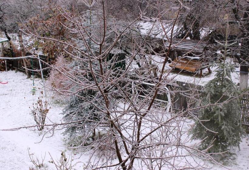 Pensiunea Paloma 3 Stele Brasov
