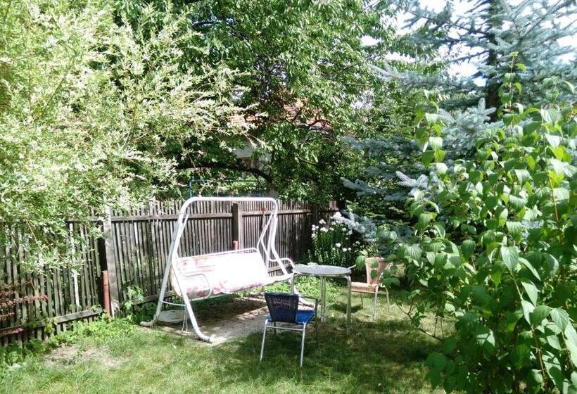 Pensiunea Paloma 3 Stele Brasov