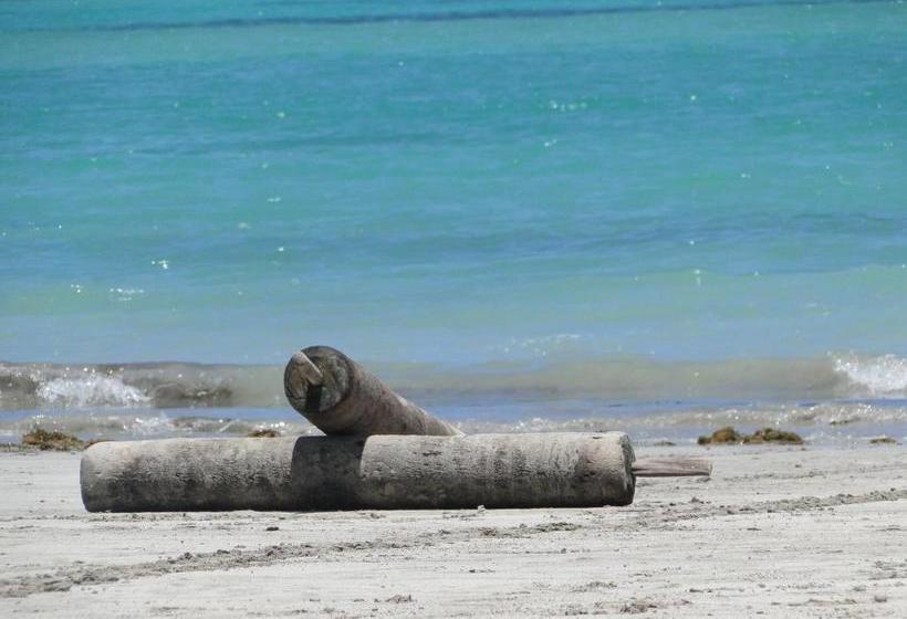 فندق صغير Pousada 100 Passos