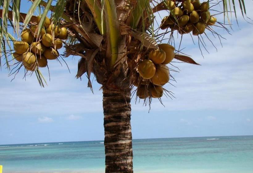 فندق صغير Pousada 100 Passos