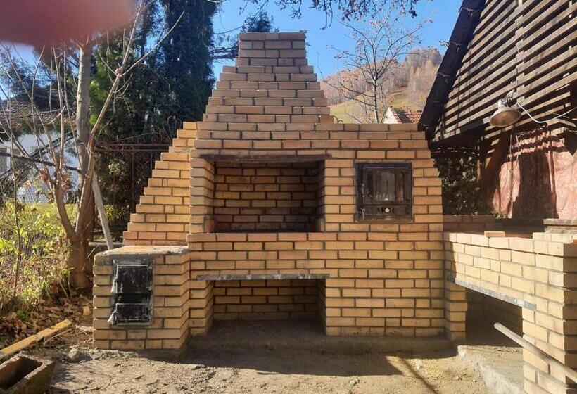 Pensionat Bucuria Muntelui