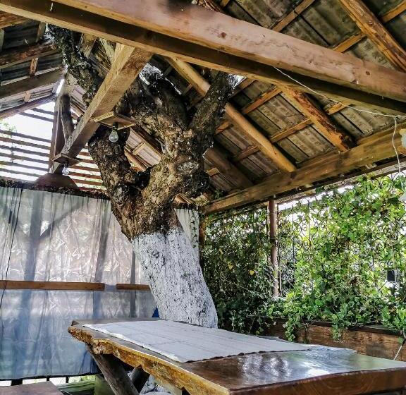 Pensionat Bucuria Muntelui