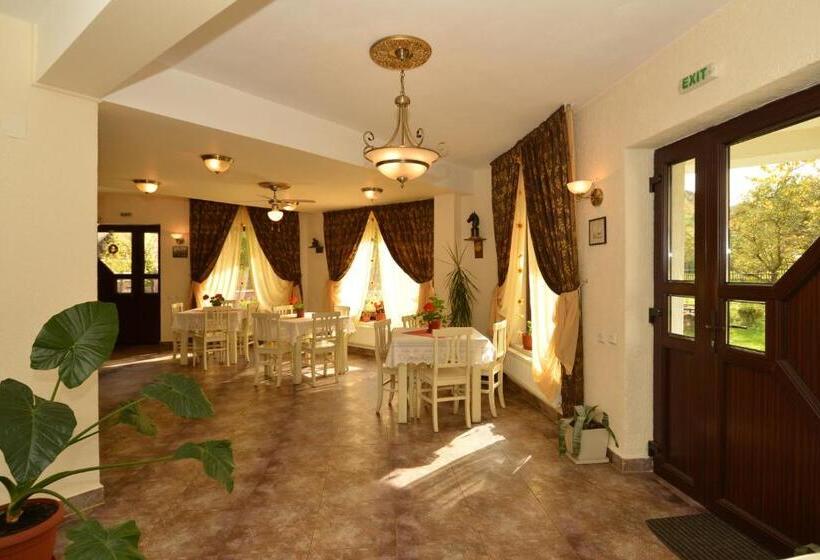 Pensionat Bucuria Muntelui